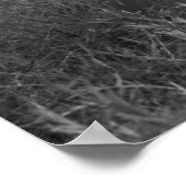 Kutest Baby Animals | Baby Elephants-groet Poster (Hoek)