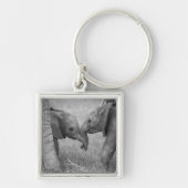 Kutest Baby Animals | Baby Elephants-groet Sleutelhanger (Voorkant)