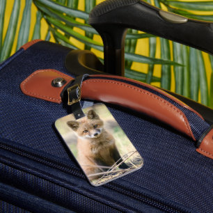 Kutest Baby Animals Baby Fox Bagagelabel