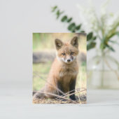Kutest Baby Animals | Baby Fox Briefkaart (Staand voorkant)
