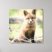 Kutest Baby Animals | Baby Fox Canvas Afdruk (Voorkant)