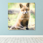 Kutest Baby Animals | Baby Fox Canvas Afdruk (Insitu (Houten vloer))