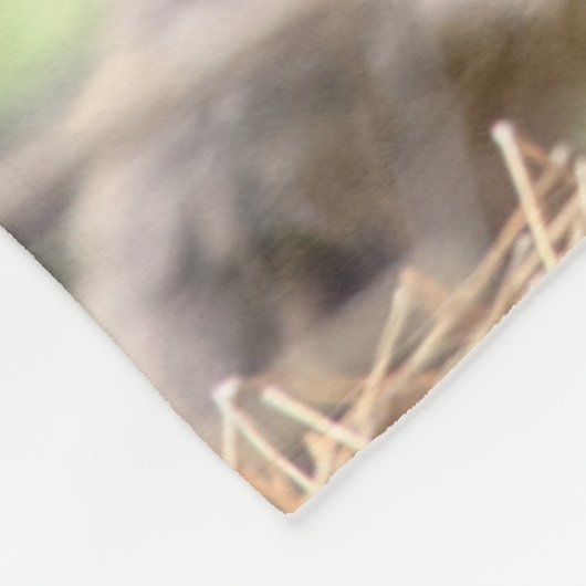 Kutest Baby Animals | Baby Fox Fleece Deken (Hoek)