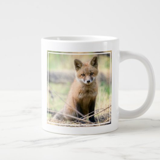 Kutest Baby Animals | Baby Fox Grote Koffiekop (Rechts)