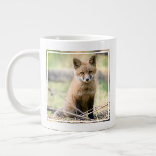 Kutest Baby Animals   Baby Fox Grote Koffiekop