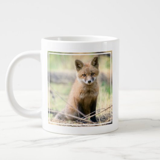Kutest Baby Animals | Baby Fox Grote Koffiekop (Links)