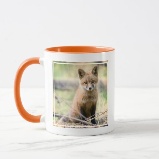 Kutest Baby Animals | Baby Fox Mok (Links)