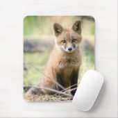 Kutest Baby Animals | Baby Fox Muismat (Met muis)