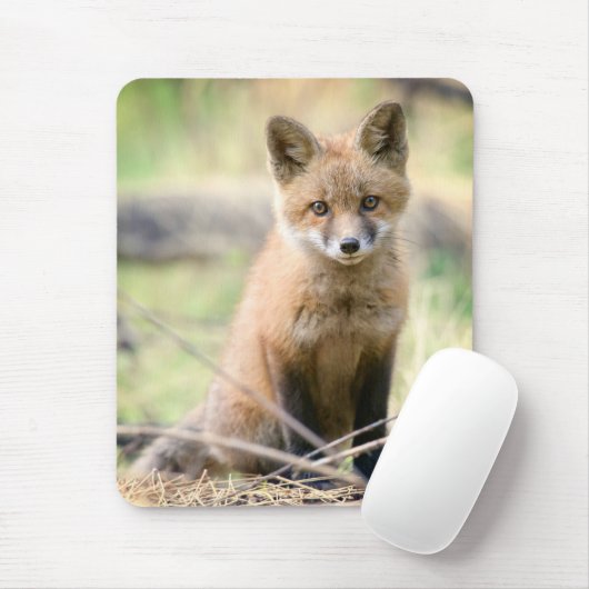 Kutest Baby Animals | Baby Fox Muismat (Met muis)