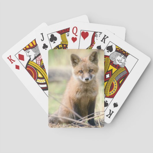 Kutest Baby Animals | Baby Fox Pokerkaarten (Achterkant)