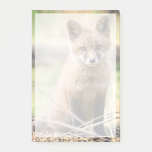 Kutest Baby Animals | Baby Fox Post-it® Notes (Voorkant)