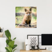 Kutest Baby Animals | Baby Fox Poster (Thuiskantoor)