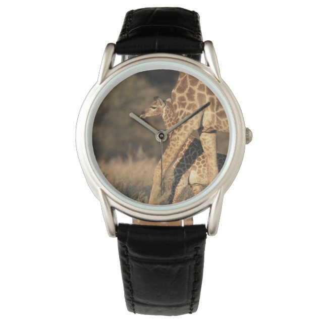 Kutest Baby Animals | Baby Giraffe en ouder Horloge (Voorkant)