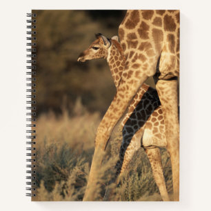 Kutest Baby Animals Baby Giraffe en ouder Notitieboek