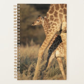 Kutest Baby Animals | Baby Giraffe en ouder Planner (Voorkant)