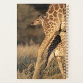 Kutest Baby Animals | Baby Giraffe en ouder Planner (Achterkant)