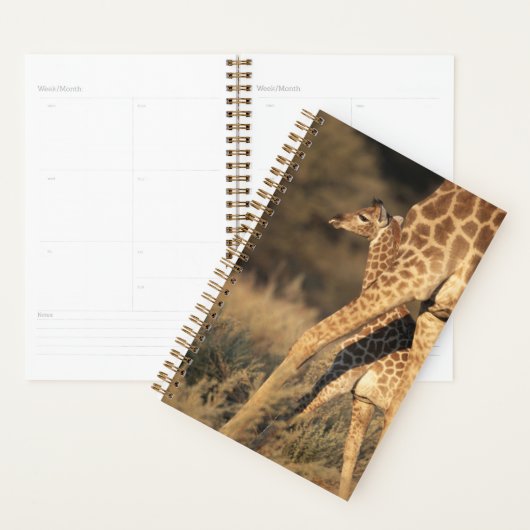 Kutest Baby Animals | Baby Giraffe en ouder Planner (Display)