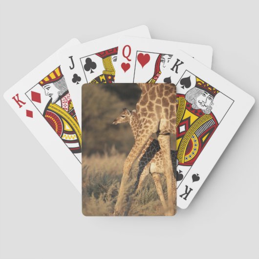Kutest Baby Animals | Baby Giraffe en ouder Pokerkaarten (Achterkant)