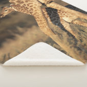 Kutest Baby Animals | Baby Giraffe en ouder Sherpa Deken (3/4)