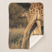 Kutest Baby Animals | Baby Giraffe en ouder Sherpa Deken (Voorkant)