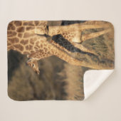 Kutest Baby Animals | Baby Giraffe en ouder Sherpa Deken (Voorkant (horizontaal))