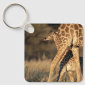 Kutest Baby Animals | Baby Giraffe en ouder Sleutelhanger (Voorkant)