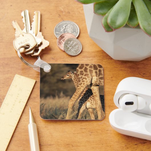 Kutest Baby Animals | Baby Giraffe en ouder Sleutelhanger (Bureau)