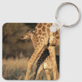 Kutest Baby Animals | Baby Giraffe en ouder Sleutelhanger (Achterkant)