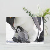 Kutest Baby Animals | Baby keizer Penguin Bedankkaart (Staand voorkant)