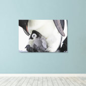 Kutest Baby Animals | Baby keizer Penguin Canvas Afdruk (Insitu (Houten vloer))