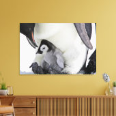 Kutest Baby Animals | Baby keizer Penguin Canvas Afdruk (Insitu (Woonkamer))