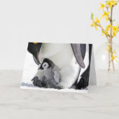 Kutest Baby Animals | Baby keizer Penguin Kaart (Gele Bloem)