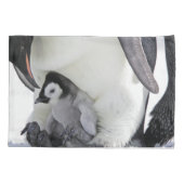 Kutest Baby Animals | Baby keizer Penguin Kussensloop (Achterkant)