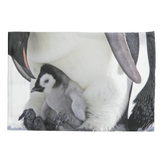 Kutest Baby Animals | Baby keizer Penguin Kussensloop (Achterkant)