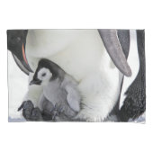 Kutest Baby Animals | Baby keizer Penguin Kussensloop (Voorkant)