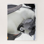 Kutest Baby Animals | Baby keizer Penguin Legpuzzel (Verticaal)