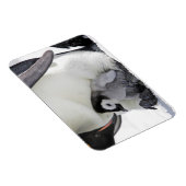 Kutest Baby Animals | Baby keizer Penguin Magneet (Rechterzijde)