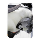 Kutest Baby Animals | Baby keizer Penguin Magneet (Verticaal)