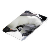 Kutest Baby Animals | Baby keizer Penguin Magneet (Linkerzijde)