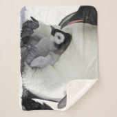 Kutest Baby Animals | Baby keizer Penguin Sherpa Deken (Voorkant)