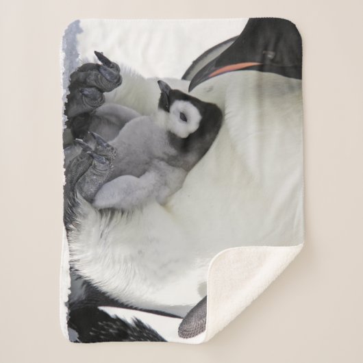 Kutest Baby Animals | Baby keizer Penguin Sherpa Deken (Voorkant)