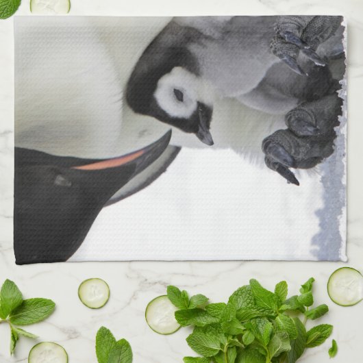 Kutest Baby Animals | Baby keizer Penguin Theedoek (Gevouwen)