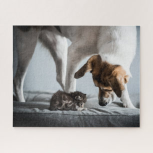 Kutest Baby Animals   Baby Kitten en Dog Legpuzzel
