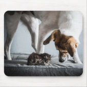 Kutest Baby Animals | Baby Kitten en Dog Muismat (Voorkant)