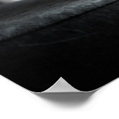 Kutest Baby Animals | Baby Kitten en Dog Poster (Hoek)