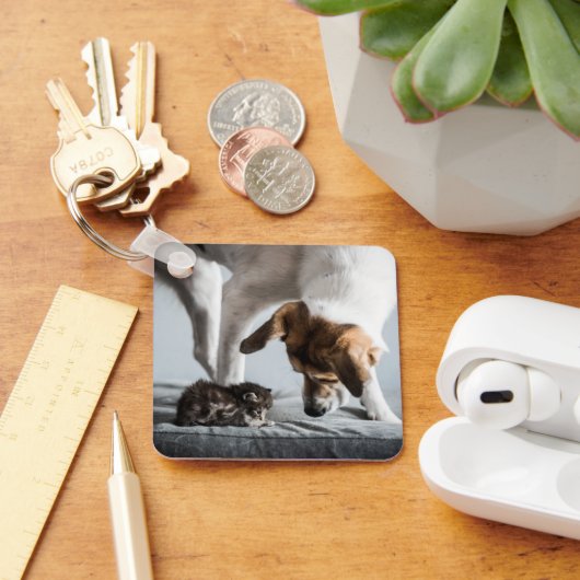 Kutest Baby Animals | Baby Kitten en Dog Sleutelhanger (Bureau)