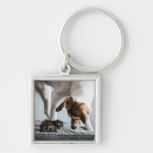 Kutest Baby Animals | Baby Kitten en Dog Sleutelhanger (Voorkant)