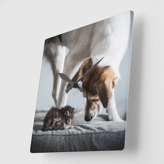Kutest Baby Animals | Baby Kitten en Dog Vierkante Klok (Hoek)
