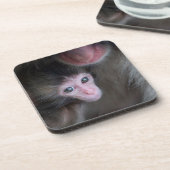 Kutest Baby Animals | Baby Macaque Monkey en moede Bier Onderzetter (Linkerzijde)