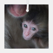Kutest Baby Animals | Baby Macaque Monkey en moede Glas Ornament (Achterkant)